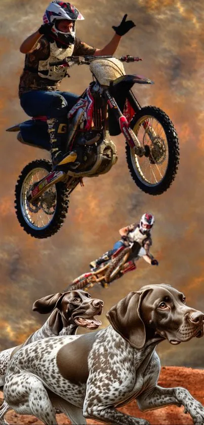 Motocross rider jumps with dogs beneath a dramatic sky.