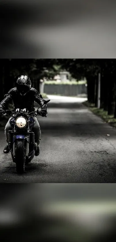 Motorbike rider on a tree-lined road, depicting adventure.