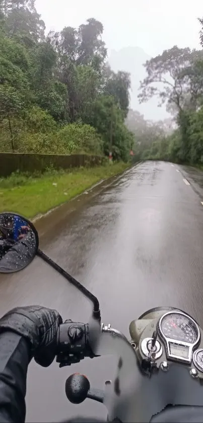 Motorbike ride through lush, misty road and green nature scenery.