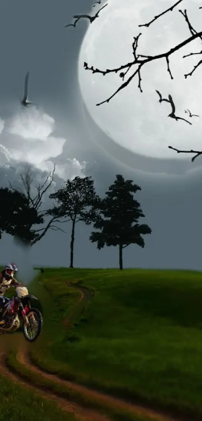 Motorbike under the moonlit sky with trees in the background.