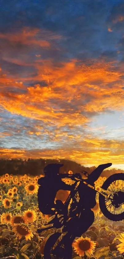 Motorbike silhouetted against a vibrant sunset over sunflowers.