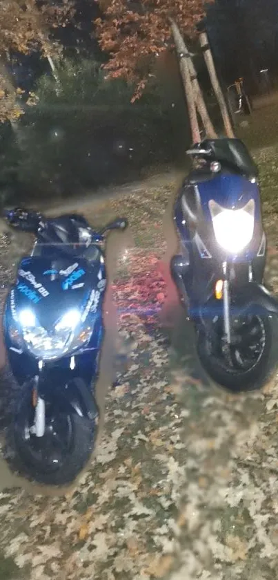 Two motorbikes illuminated against autumn leaves at night.