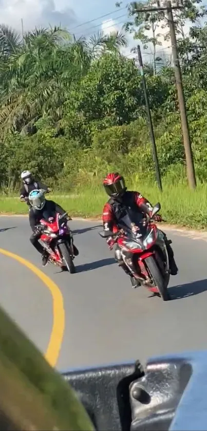 Motorcycle riders on a scenic road.