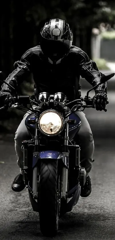 Motorcyclist rides through a dark, tree-lined road, capturing adventure and speed.