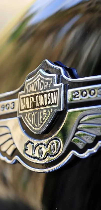 Chrome motorcycle emblem on black surface with blurred background.