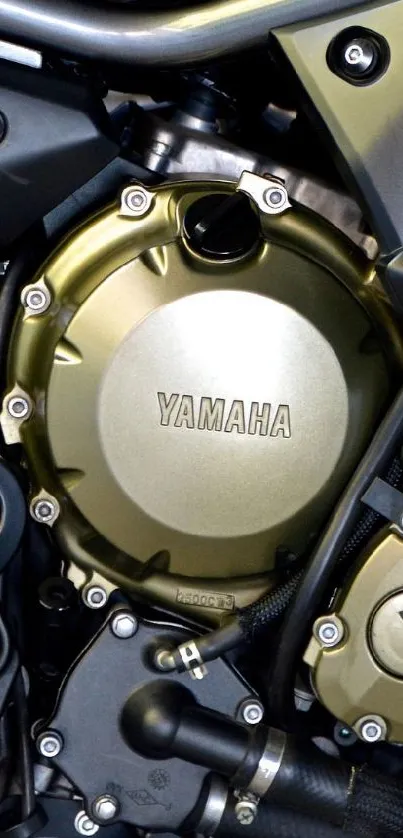 Close-up view of a motorcycle engine showcasing detailed mechanical parts.