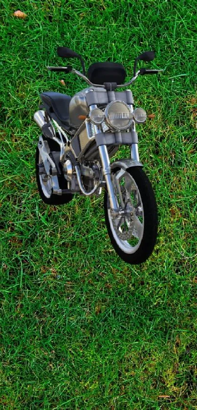 Motorcycle resting on vibrant green grass with natural background.