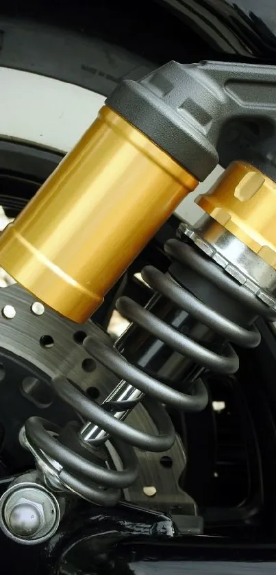 Close-up of a motorcycle shock absorber with metallic and golden highlights.