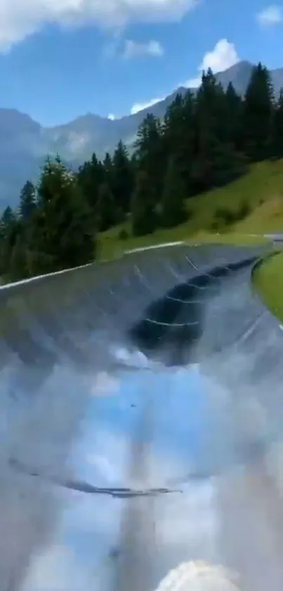 Scenic mountain slide with forest and sky.