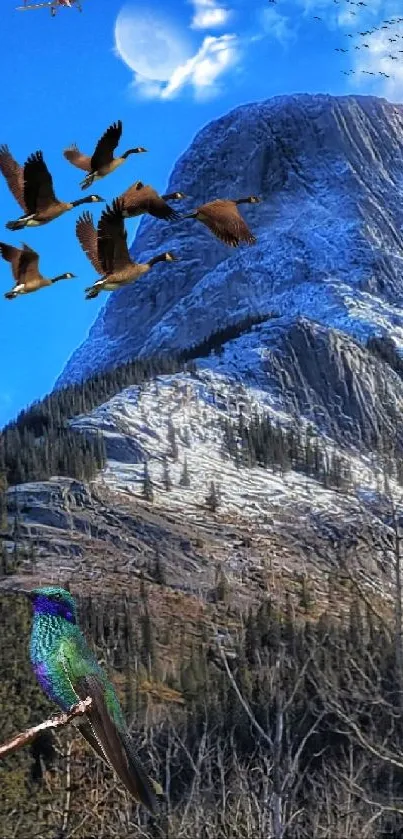 Vibrant mountain scene with birds and blue sky mobile wallpaper.