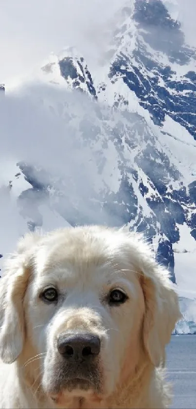 Majestic mountain with fluffy dog in the foreground, ideal wallpaper for nature lovers.