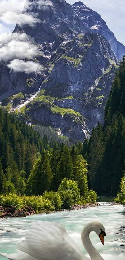 A swan floating on a river with a mountain view.