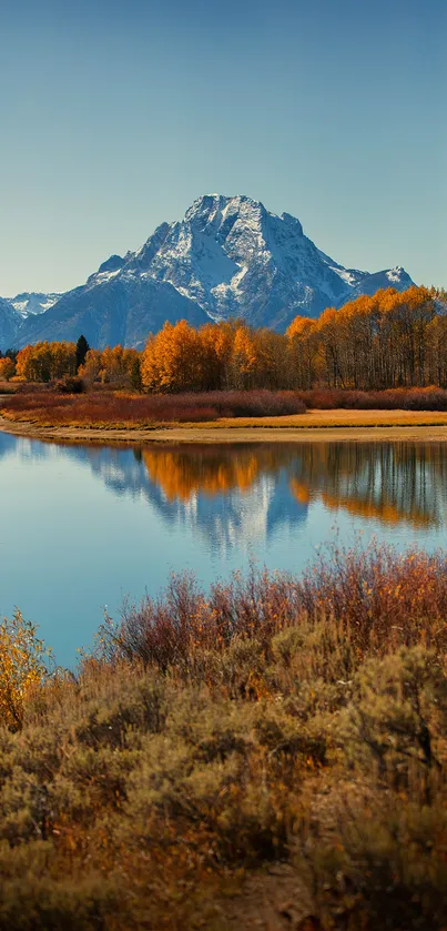 Majestic mountain with autumn trees and reflection on a tranquil lake.