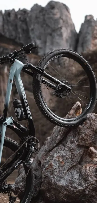 Mountain bike on rocky terrain with gray and earthy tones.