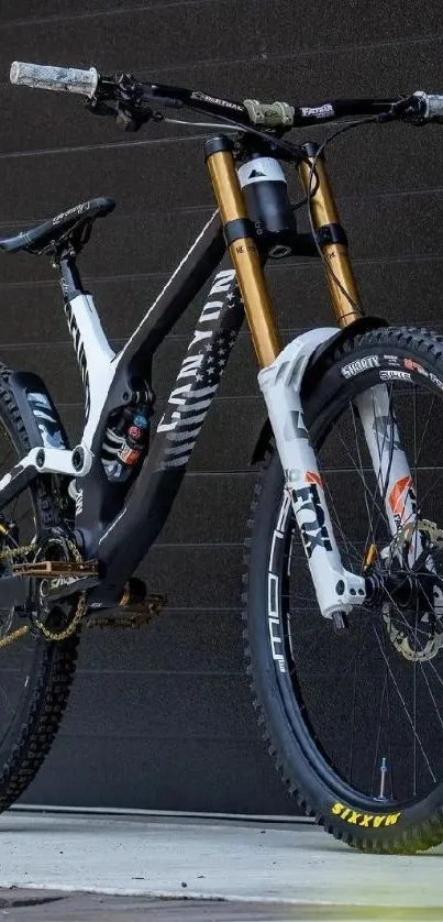 Dynamic mountain bike against a dark background.