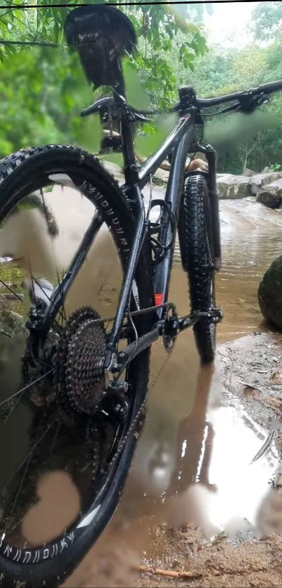 Mountain bike by river with lush greenery.