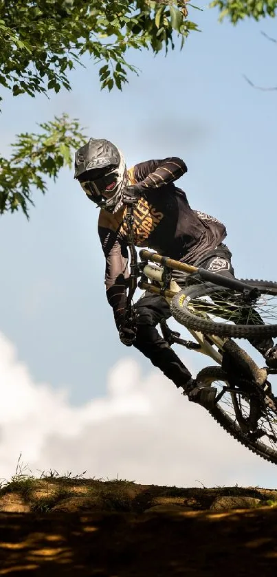 Mountain biker performing a jump on a forest trail, surrounded by greenery.