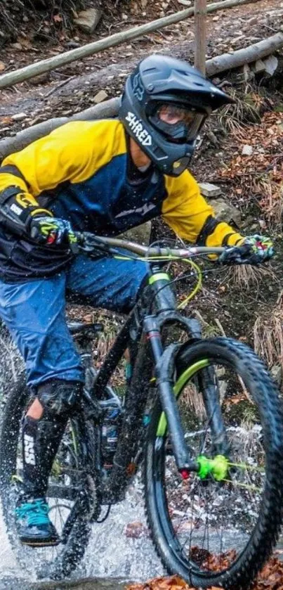 Mountain biker crossing a stream in vibrant autumn scenery.