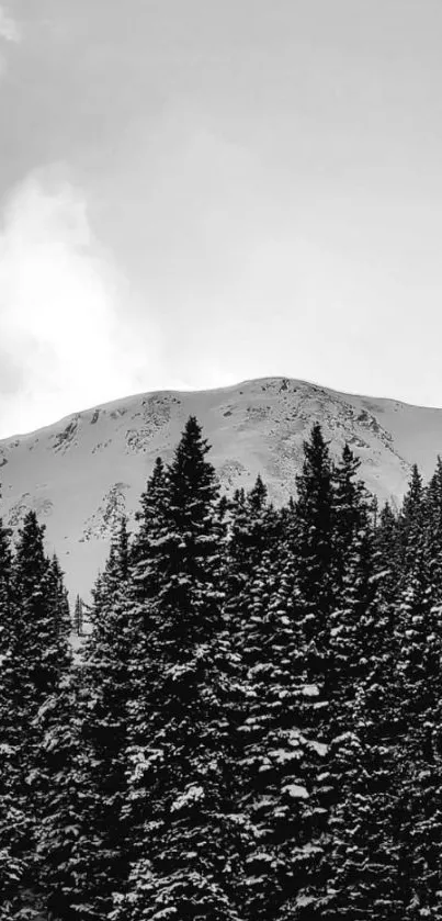 Black and white landscape with snowy mountains and trees.