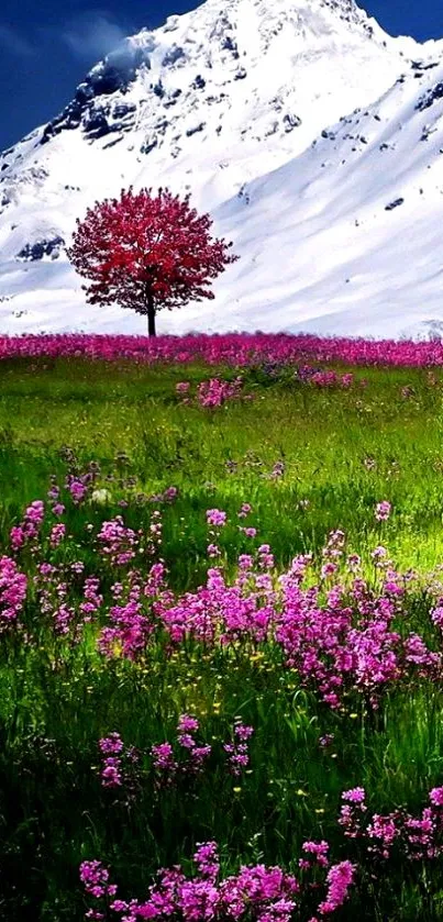 Snowy mountain with pink flower meadow in vibrant wallpaper.