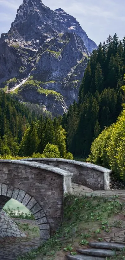 Scenic mountain view with stone bridge and lush green forest.