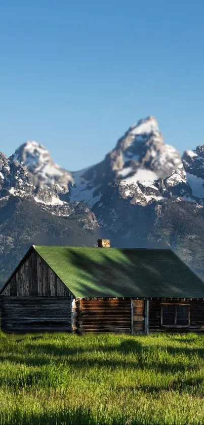 Scenic cabin in a lush green field with snow-capped mountains.