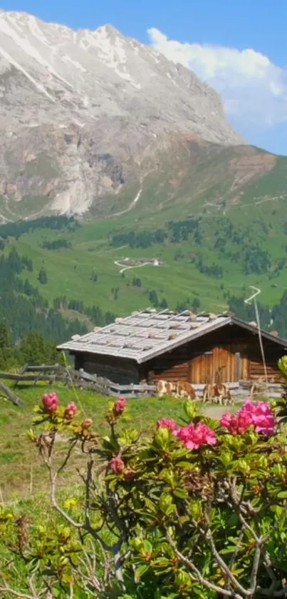 Beautiful mountain cabin scene with flowers and alpine views.