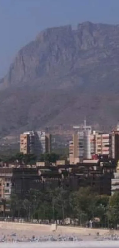 City buildings with mountain backdrop in mobile wallpaper.