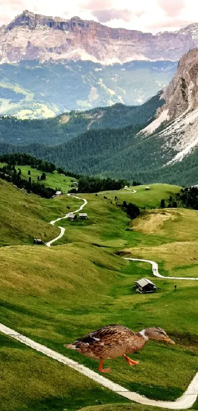 Mountain landscape with a pathway and a duck, surrounded by lush greenery.