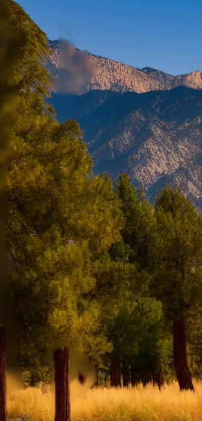 Wallpaper showing a mountain landscape with sunset and forest backdrop.