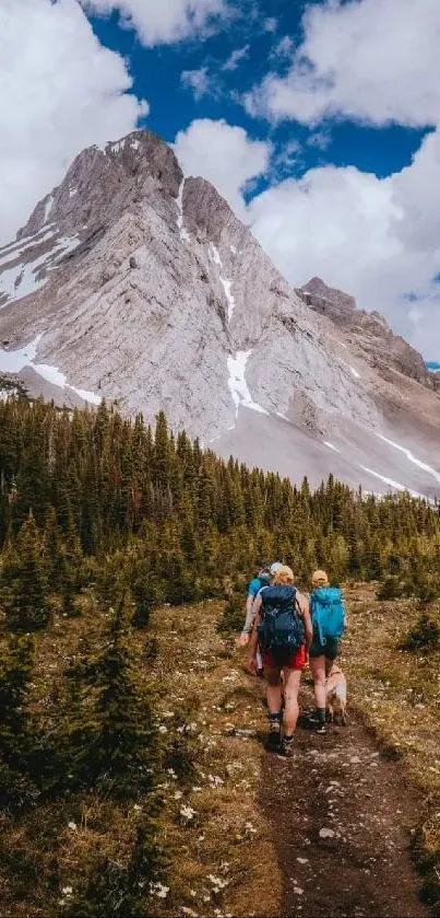 Mountain hikers enjoying a scenic trail.