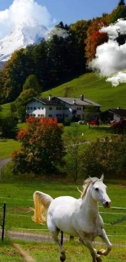 White horse running in green meadow with mountains in the background.