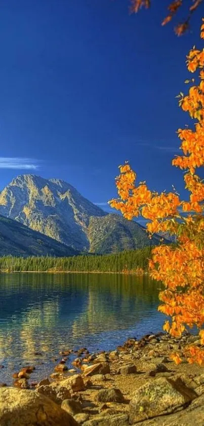 Mountain lake with autumn colors and clear blue sky.