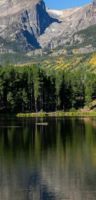 Mobile wallpaper featuring a mountain lake with trees and clear blue sky.