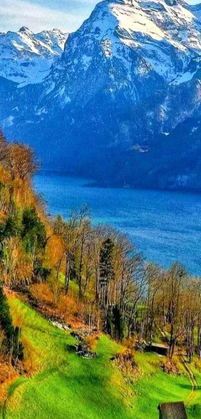 Scenic vista of mountains and lake with vibrant green foreground.