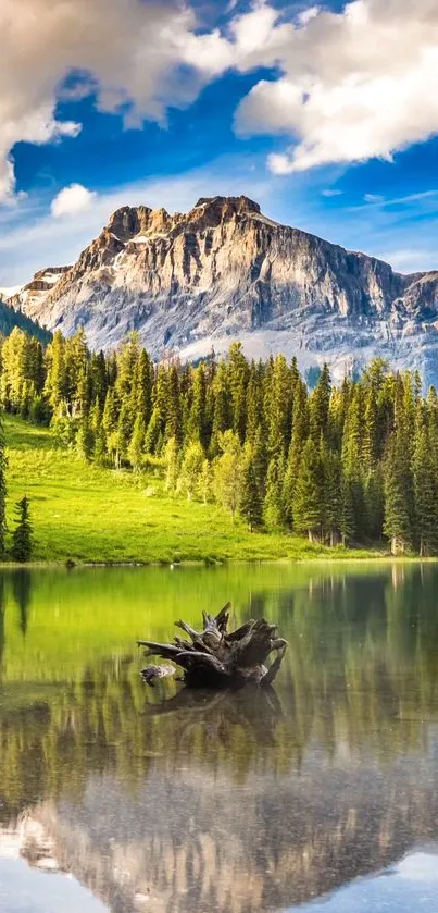 Serene mountain lake with lush forest and clear sky.