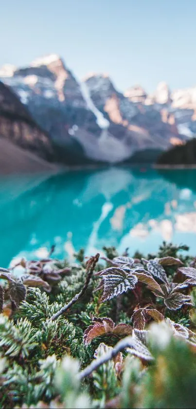 Scenic mountain lake with lush foreground and clear waters.