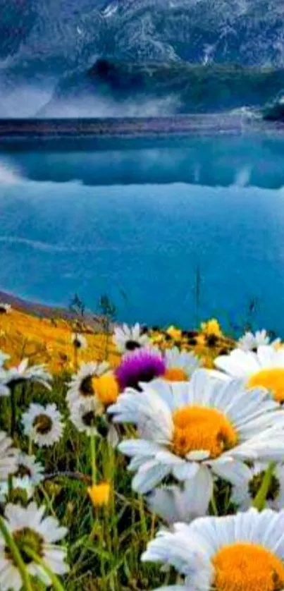 Mountain lake with daisies foreground wallpaper.