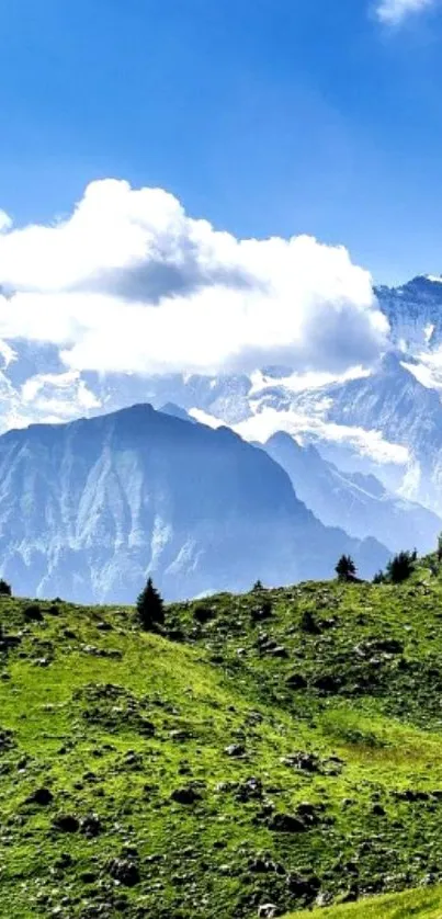 Green mountains under a clear blue sky.