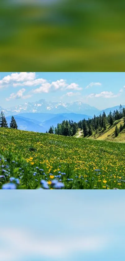 Serene mountain meadow with wildflowers and blue skies.