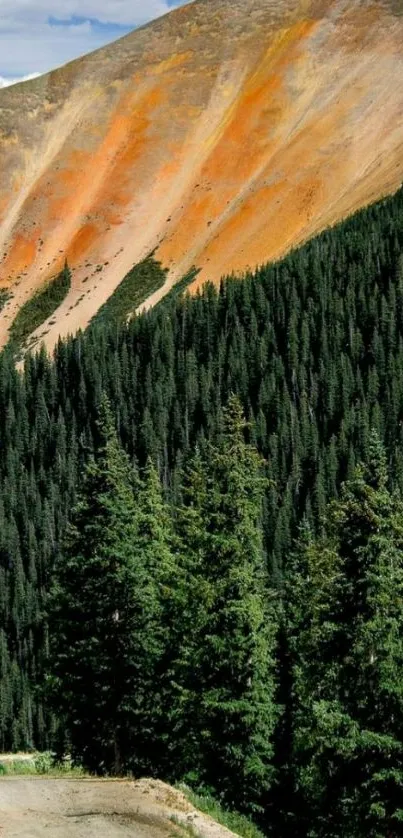 Scenic mountain path with forested slopes and orange peaks.