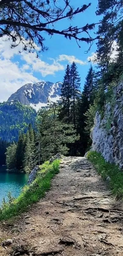 Mountain path with trees and a blue lake view.