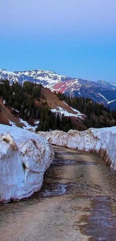 Snowy mountain path with blue sky.