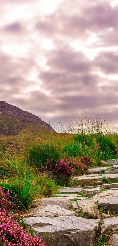 Scenic mountain path with cloudy sky and vibrant purple flowers.