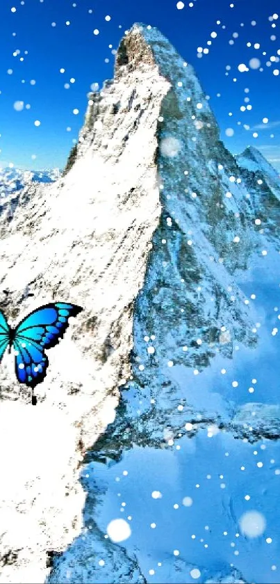Snowy mountain peak with a blue butterfly.