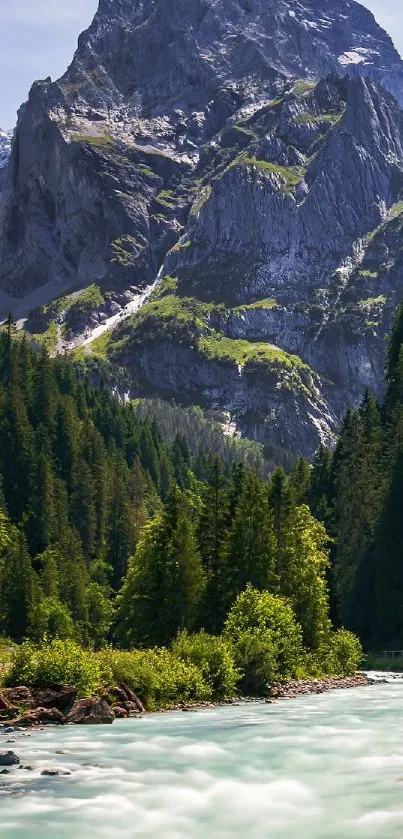 Majestic mountain and river with dense green forest wallpaper.