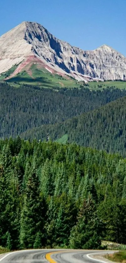 Scenic mountain road wallpaper with lush green forest and majestic peaks.