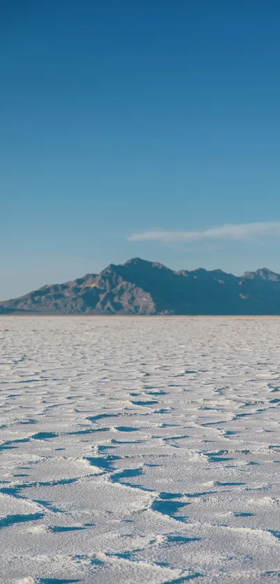 Salt flats and mountain under a blue sky mobile wallpaper.