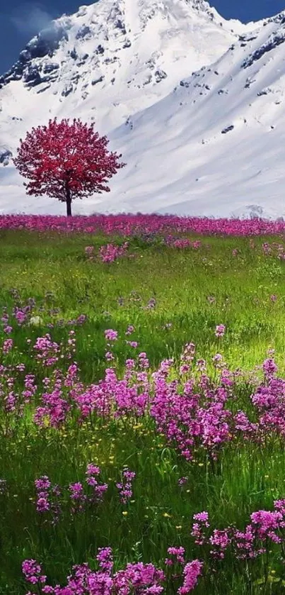 Lone tree in pink floral field with snowy mountain backdrop.