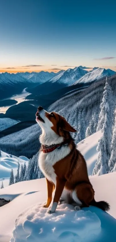 Dog in snowy mountains at sunset, serene view.